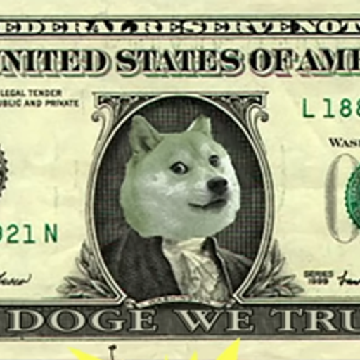 1DOGE