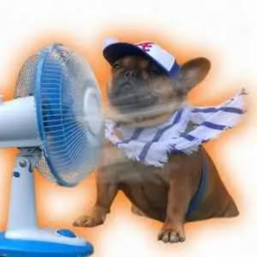 fan