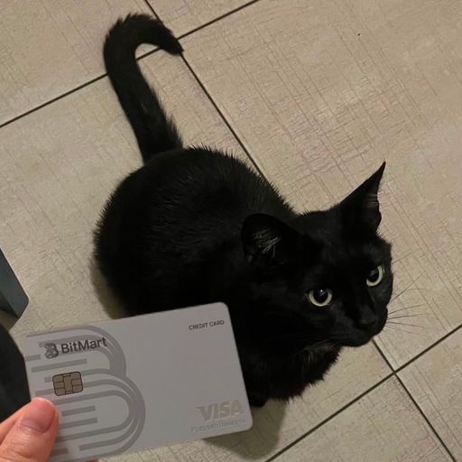 BITCAT