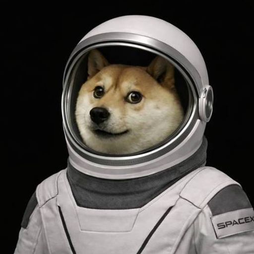 moondoge