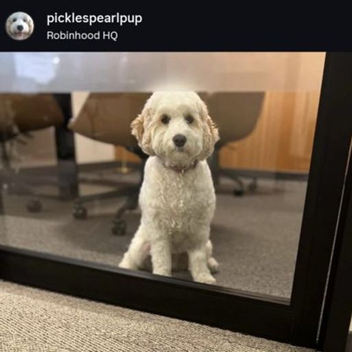 PICKLES