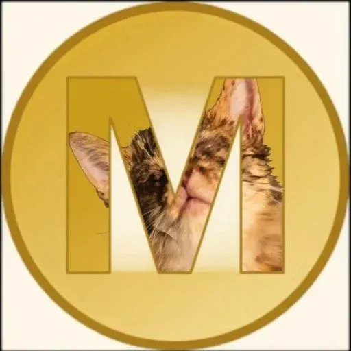 Mifan