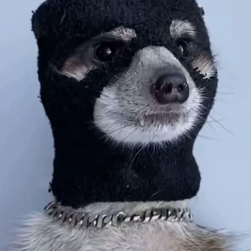 MEERKAT
