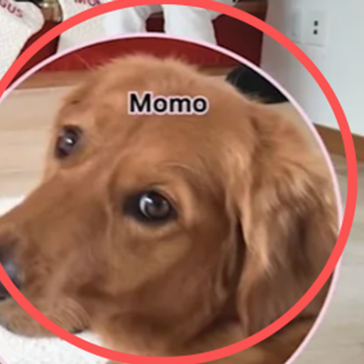 momo