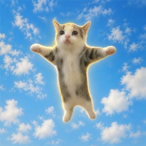 Happy Cat