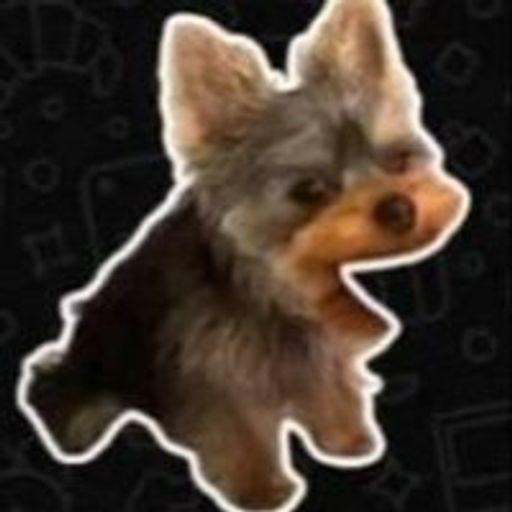 :v