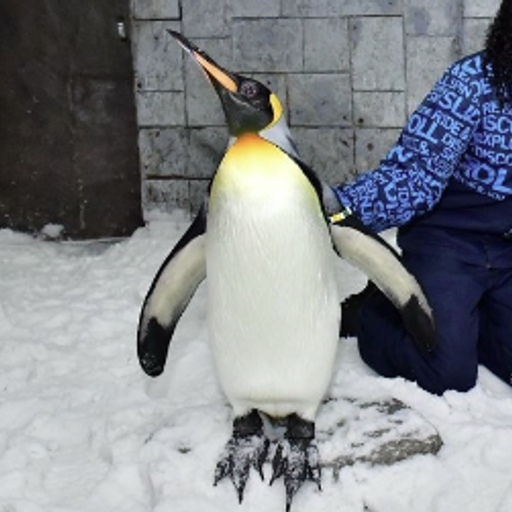 PENGUZILLA