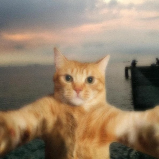 MEOW