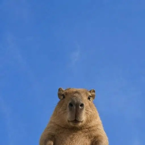 Robert