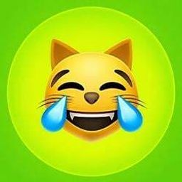LMEOW