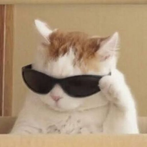 COOLCAT