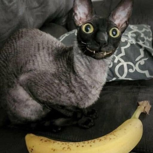 banan