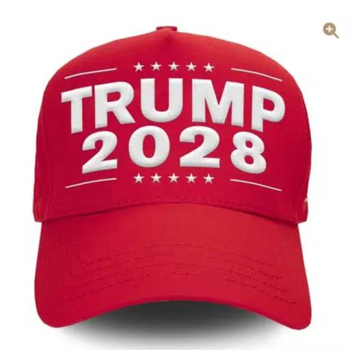 TRUMP2028