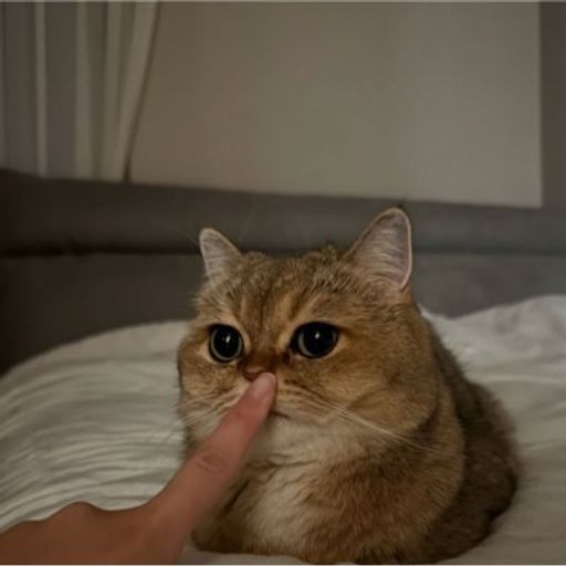 SUSCAT