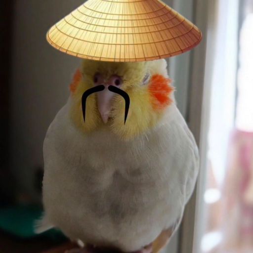 LINGLING