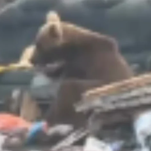 BOS