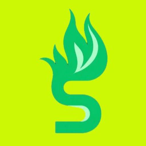 SONVEX
