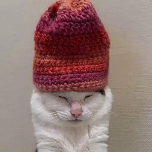 WIF