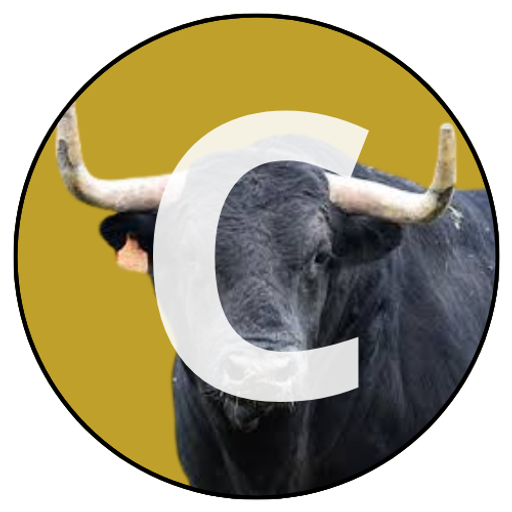 bull