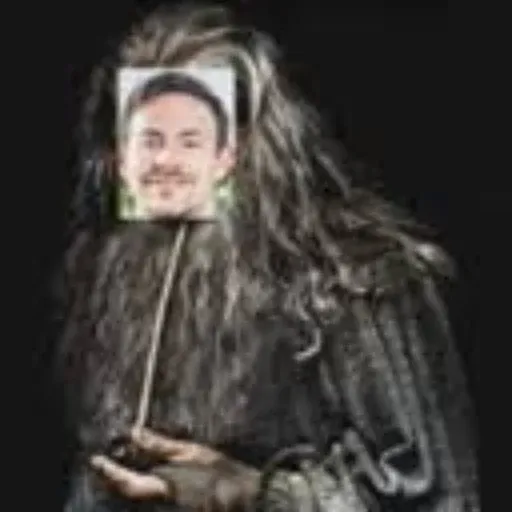 Stonk Wizard