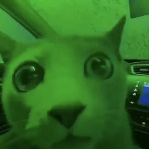 MarketCat