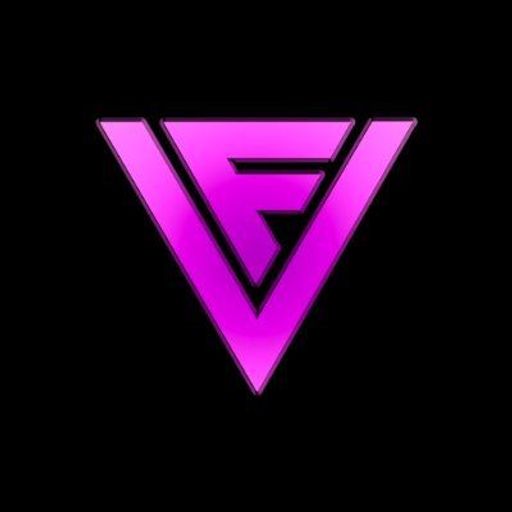 FVISION