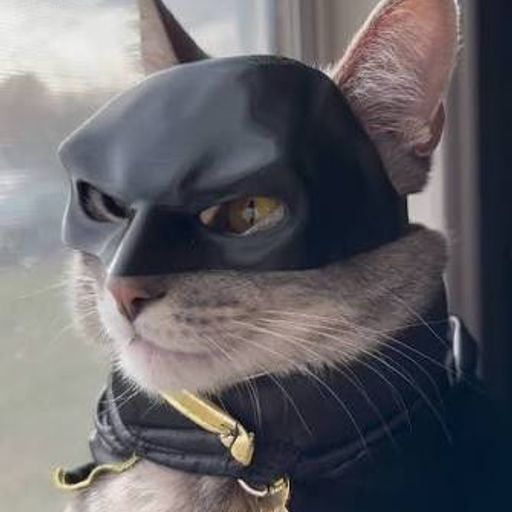 CATMAN