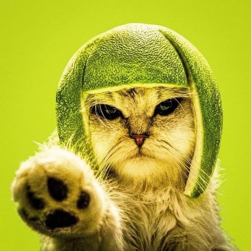 LIMECAT
