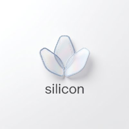 SILICON