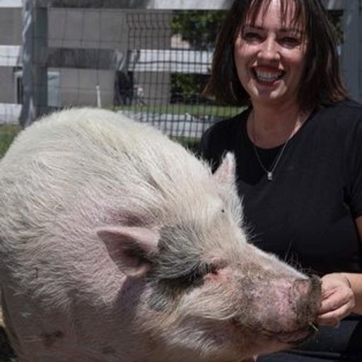 waddles