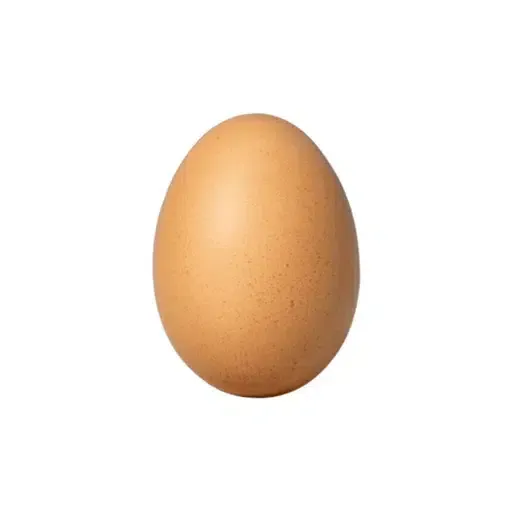 EGG