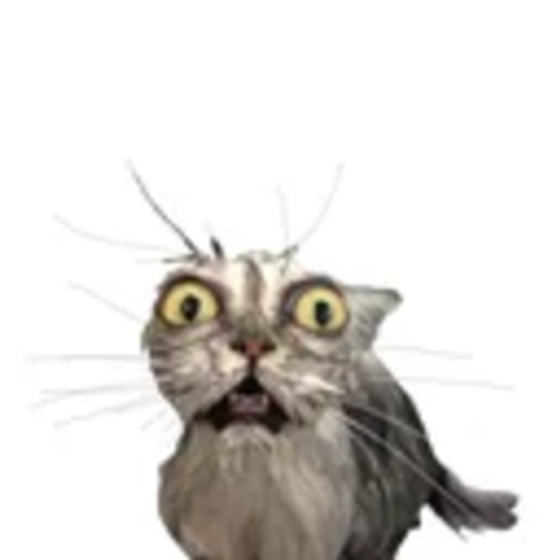 CrackCat