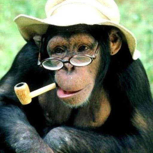 PIPEMONKEY