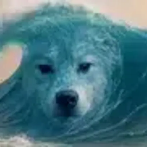 TSUNAMINU