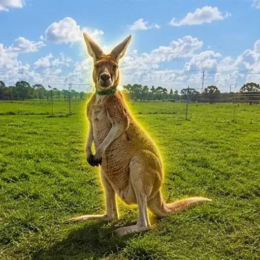 ROOFUS