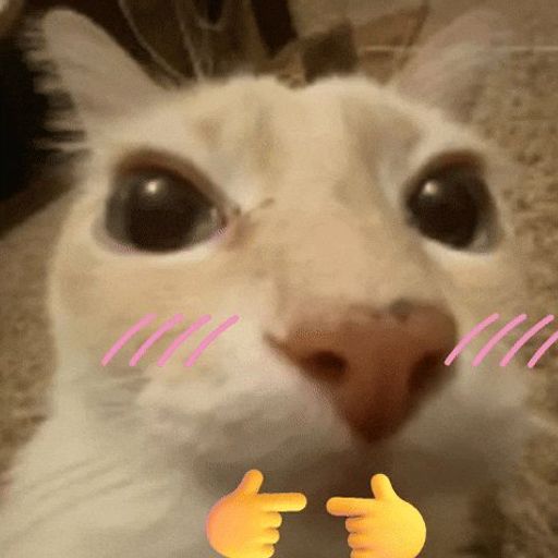 👉🐱👈