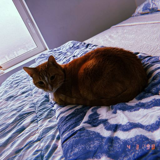 HOBBES