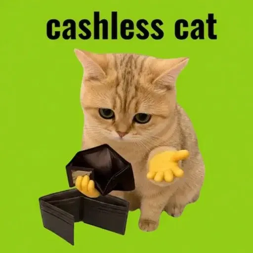 CASHLESSCAT