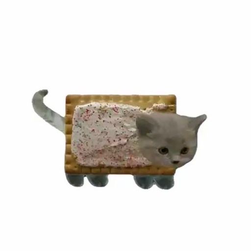 NYANKITTY
