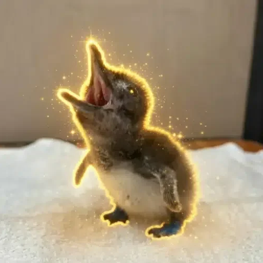 Horiku