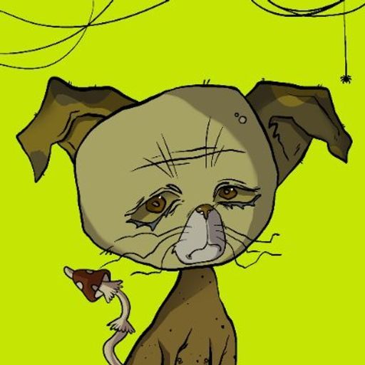 NOCASHCAT
