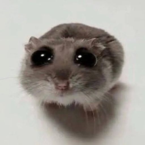 HAMMY