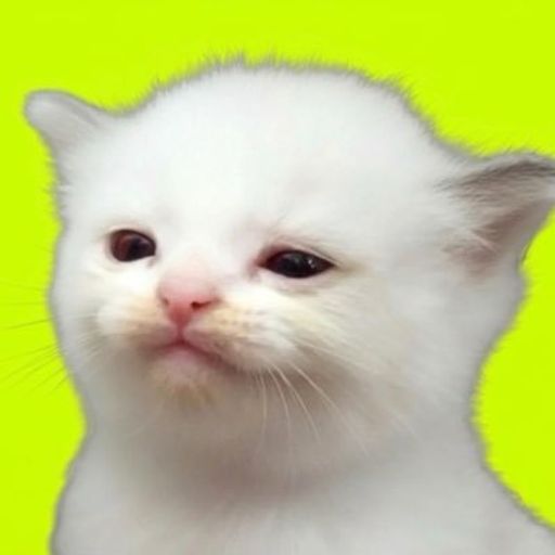 MEOWER