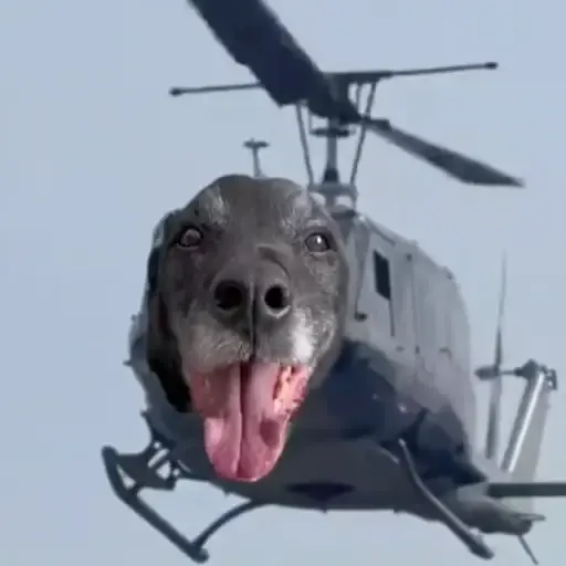 DOGCOPTER