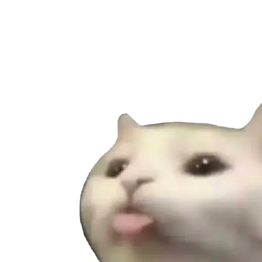 :p