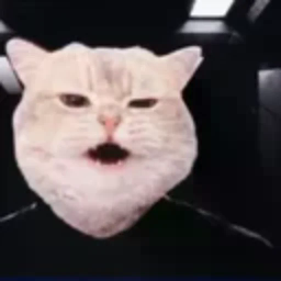 VRAX
