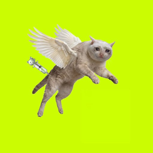 CATAMINE