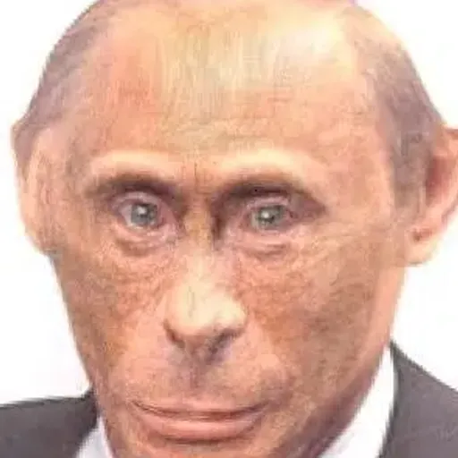 MONKTIN