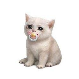 BABYCASHCAT