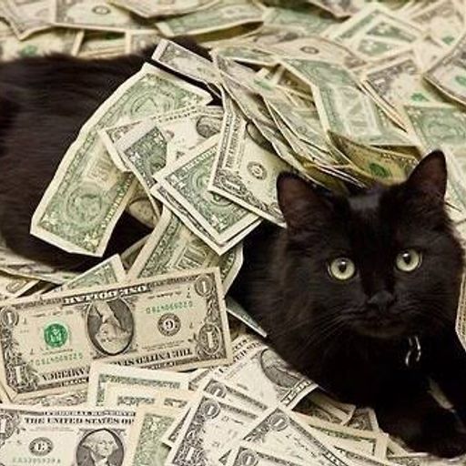 CASH